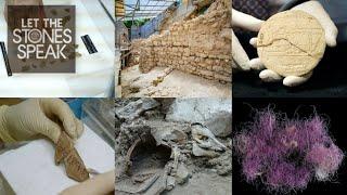 Our Top 10 Biblical Archaeology Discoveries of 2021