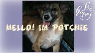 potchie | Rufie Rose