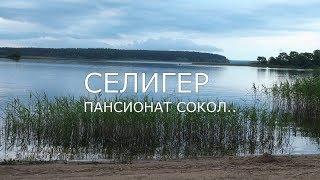 В Осташков. Селигер.Пансионат Сокол.