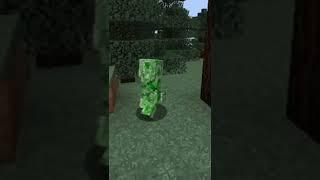 Just a creeper walking around #slipperyt #jenny #minecraft