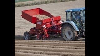 Grimme GB 230 Belt planter