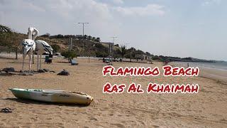 Flamingo Beach Ras Al Khaimah | beachgoers, nature lovers #nature #viral #trending @felicityoflife