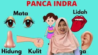 Tema: DIri sendiri Subsubtema: PAnca Indra TK/PAUD ZAHRA (Belajar di rumah anak TK/Daring)