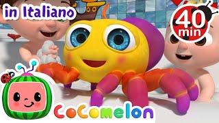 Il piccolo ragnetto | CoComelon Italiano - Canzoni per Bambini