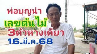 พ่อบุญนำ.เลขต้นไม้3ตัวหางเดียว16.มี.ค.68