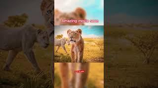 Amazing movie seen full watch#foryou#viral#viralvideo#foryou#movieseen#tranding#foryoupage#movieseen