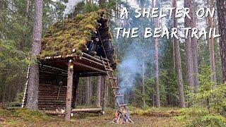 Construction of a shelter for survival in forest. Hiding from bad weather and animals in a warm hut.