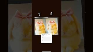 #music #ai #bunny #fat
