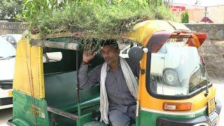 Delhi driver grows garden on autorickshaw roof to beat the heat | AFP