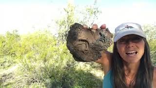 3 Examples of BASALT Rock! Have You Ever Seen These?