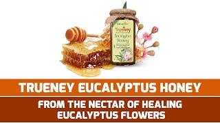 Eucalyptus honey | Trueney | Natures Box | Pure honey | Natural honey | 100% pure and natural honey