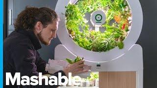 Smart Indoor Garden Grows 90 Fruits and Veggies at Once – Future Blink