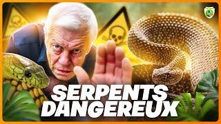 Cobra, Vipère, Mamba... On sort les serpents les plus DANGEREUX !