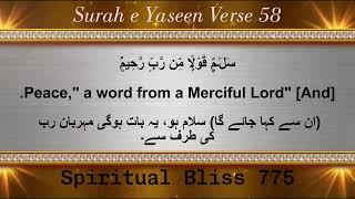 Surah Yasin ( Yaseen ) with Urdu Translation | Quran Tilawat Beautiful Voice | Hindi Tarjuma Ep 5