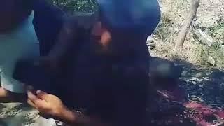 17 августа 2020 г.