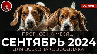 ПРОГНОЗ на Сентябрь 2024 для Всех Знаков Зодиака/ Прогноз и Советы для Вас/ Лилия Нор