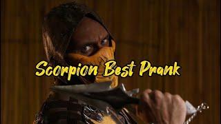 Jeezzai Scorpion Best Prank