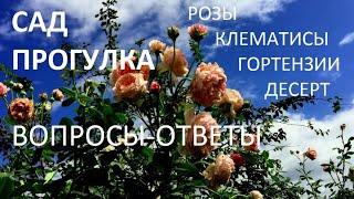 УЮТНЫЙ САД .  ВОПРОС-ОТВЕТ. ОСЕНЬ -это ВАМ  не ЛЕТО.   КОМФОРТНО РАБОТАТЬ В САДУ  . Вкусный  ПИРОГ.