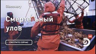 Начало | Смертельный улов | Discovery