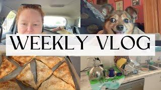 Weekly Vlog / Busy Busy / Frugal Fun Mum