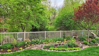 First May Walkabout & Garden Tour - the colors are popping! 