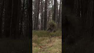 Ghillie suits hiding ‍️