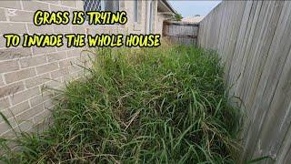He Struggled To Maintain His Yard Due To Deteriorating Health #asmr #satisfying