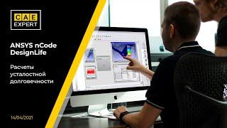 ANSYS nCode DesignLife. Расчеты усталостной долговечности