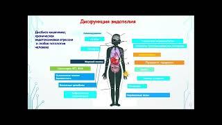 Американский врач рассказывает о реальной причине дисфункции эндотелий кишечника - стресс