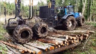 Temporary bridge in the woods!!!