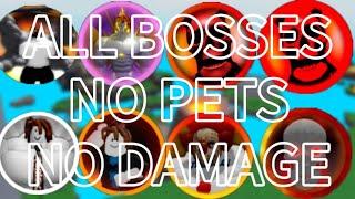 ALL BOSSES, NO PETS, NO POWER UPS, NO DAMAGE!!!