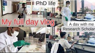 A full day vlog || A day in research scholar life || PhD in China || Northwest A&F University