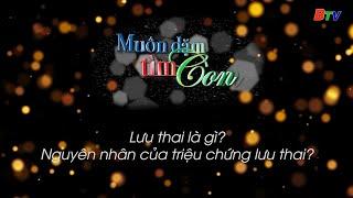 MUÔN DẶM TÌM CON - SỐ 3 | BTV - TRUYỀN HÌNH BÌNH DƯƠNG