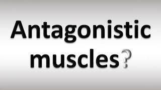 How to Pronounce Antagonistic muscles