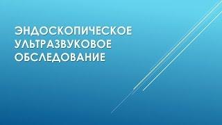 Эндоскопическое ультразвуковое обследование