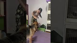 #不养狗不知道养狗的乐趣 #狗是人类最忠诚的朋友请善待它