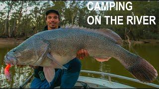 Murray Cod Fishing - Big Fish and Small rivers