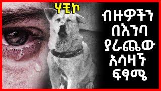 ብዙዎችን በእንባ ያራጨው አሳዛኙ የሀቺኮ ፍፃሜ | Abel Birhanu የወይኗ ልጅ 2 | Habesha | Ethiopia