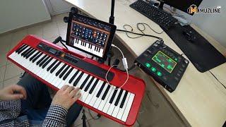 Синтезатор Casio CT-S200 + Chordana Play Инструкция по подключению/Manual/Moog/miniMoog