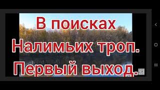 Ловля налима осенью. Поиск налимьих троп . 1 часть . Рыбалка 2021 . Налим 2021 .