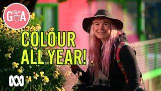 Perennials for Flower Colour All Year | Garden Design and Inspiration | Gardening Australia