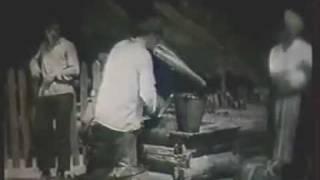 Двойчы народжаны (1933 г.)