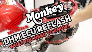 2019 Honda Monkey Build: Installing the reflashed DHM ECU and what you need to know