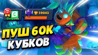  АПАЮ 60К КУБКОВ В БРАВЛ СТАРС | КЛЕО BRAWL STARS