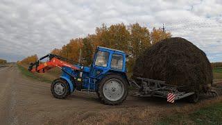 Трактор МТЗ-82.1 вывозим сено.