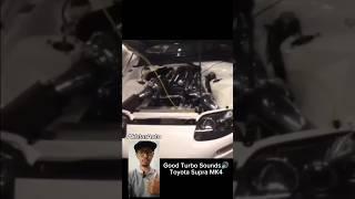 Cat VS Toyota Supra Turbo Sounds #toyota #supra #mk4 #jdm #car #automobile #caredit #shorts #video