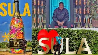 Sula Vineyard Tour | Expenses of Wine Tasting, Food, Wine Shopping & More