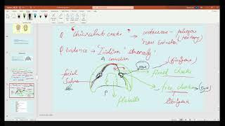 Paleontology Previous year Q&A and Numerical class video-4: BRAHMASTRA (Hinglish)