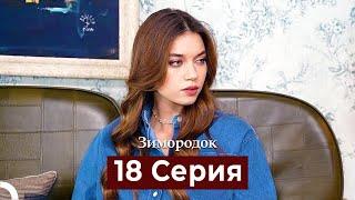 Зимородок 18 Cерия (Русский дубляж)