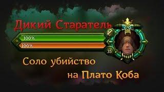 Аллоды Онлайн | Соло убийство группового босса | Дикий Старатель Плато Коба